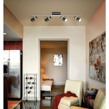 DAVIDA 4L Black Spot Light - #30835