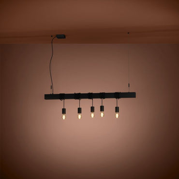 TOWNSHEND 5Lt Pendant Black E27 #39937