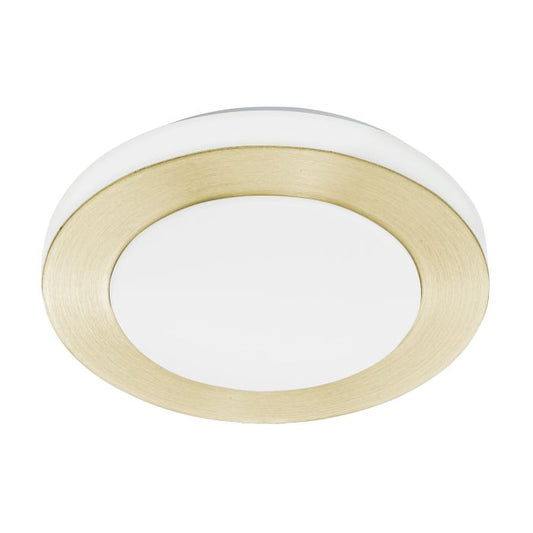 LED CARPI Wall/Ceiling Light - #900369