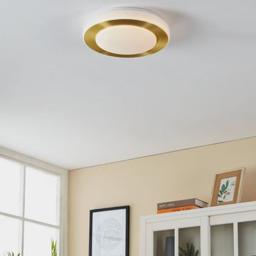 LED CARPI Wall/Ceiling Light - #900369