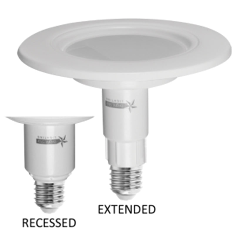 10W LED ES RETROFIT LAMP - #BULB LED 172