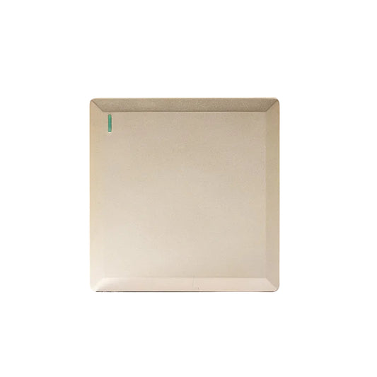 1 Gang 1 Way Plate Switch (Gold) #S7001G