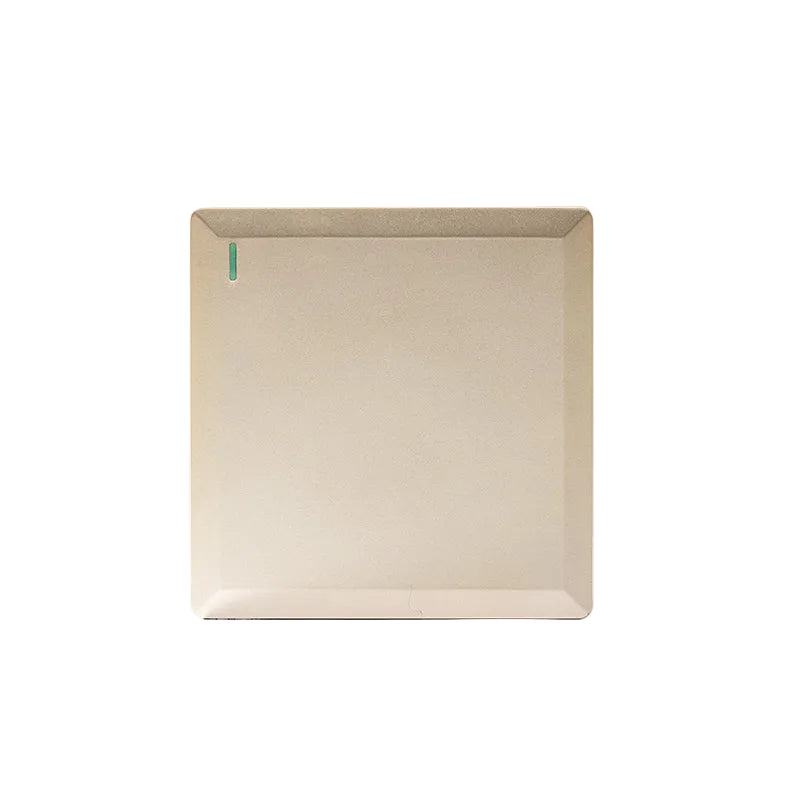 1 Gang 2 Way Plate Switch (Gold) - S7002G