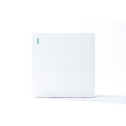 1 Gang 2 Way Plate Switch (White) - S7.0-002W