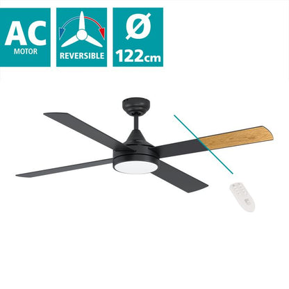 TRINIDAD Ceiling Fan & Light - #35085