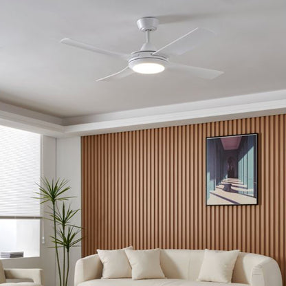 BONDI 1 Ceiling Fan & Light - #35089