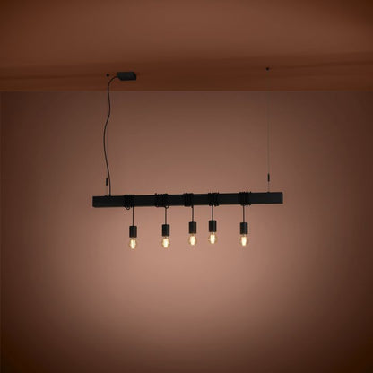 TOWNSHEND 5Lt Pendant Black E27  #39937