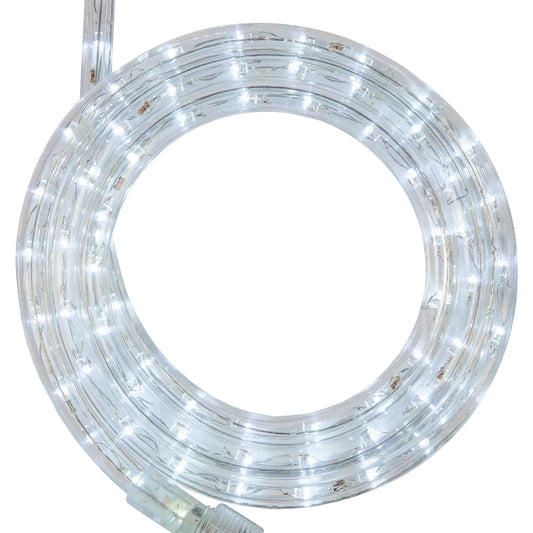 3.5-4.5W 2 Wire Rope Lt CW 10M w Driver IP54 #BLR10CW