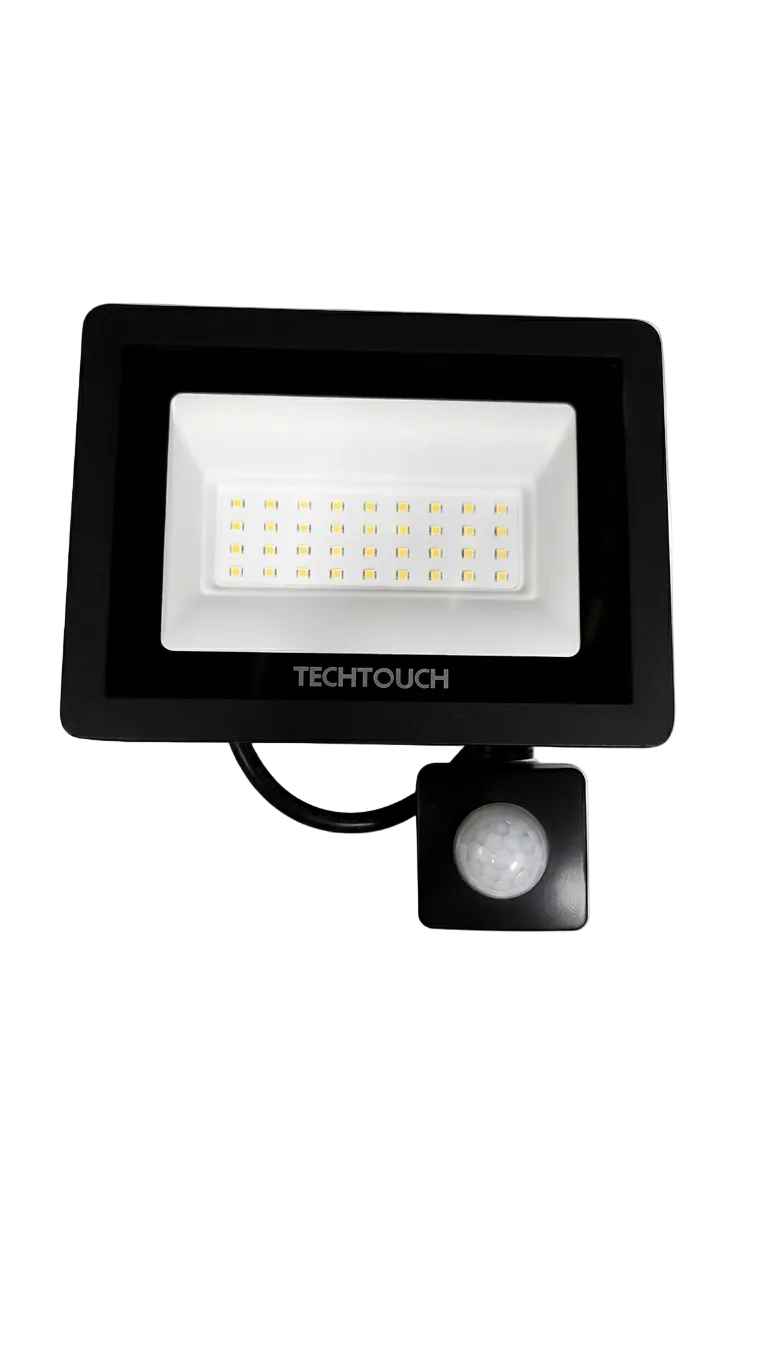 PROJECTOR Y2 10W Flood Light CW #2183012