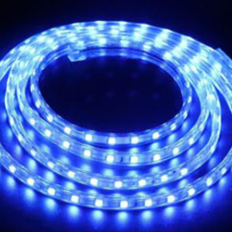 Blue Rope Lights - #H83BL