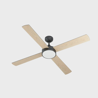 TRINIDAD Ceiling Fan & Light - #35085